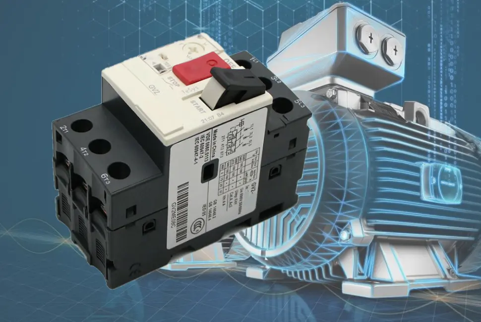 guardamotor con motor.webp