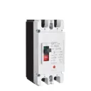 Interruptor Disyuntor 63a 2p Breaker Dc Solar Cd Moldeada