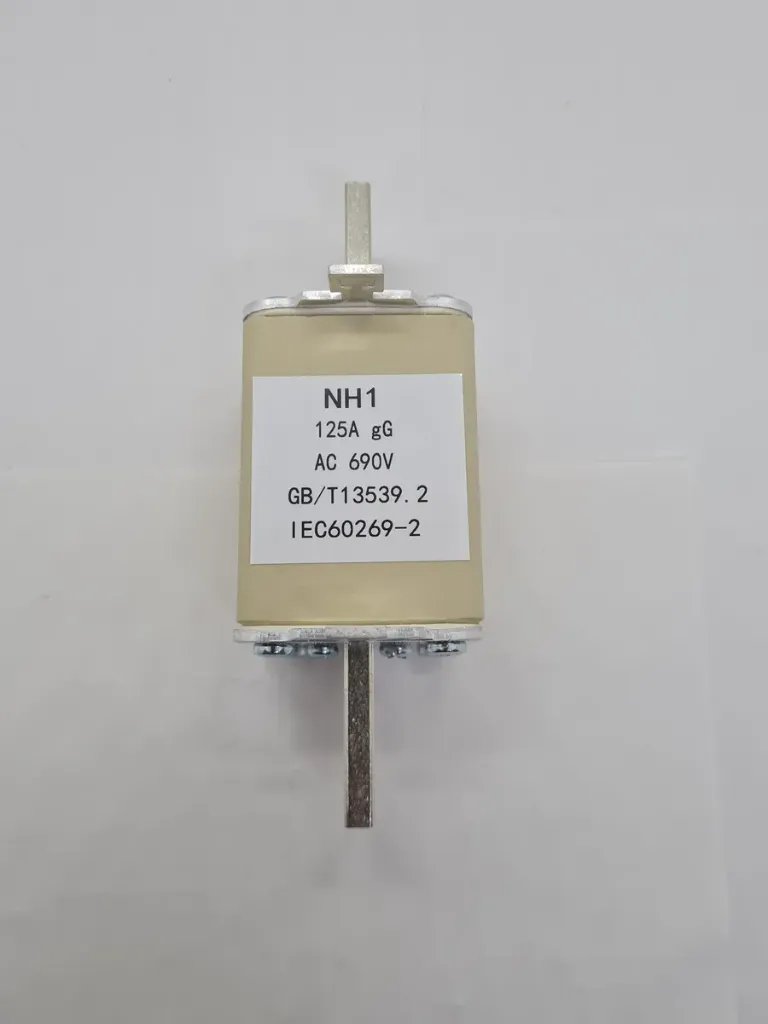 Fusible Nh1 125a 690v Ac Gg Cuchilla Alta Capacidad Tableros