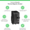 Pastilla Breaker Interruptor Termomagnético 40 Amper 2p Qo - Imagen 6